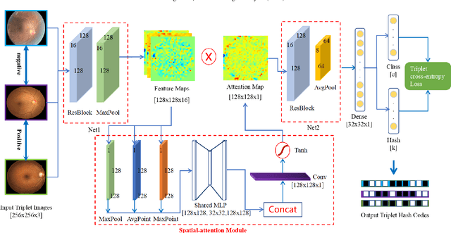 Figure 3 for Deep Triplet Hashing Network for Case-based Medical Image Retrieval
