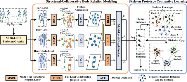 Figure 3 for Skeleton Prototype Contrastive Learning with Multi-Level Graph Relation Modeling for Unsupervised Person Re-Identification