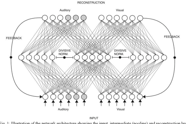 Figure 1 for Closing the loop on multisensory interactions: A neural architecture for multisensory causal inference and recalibration