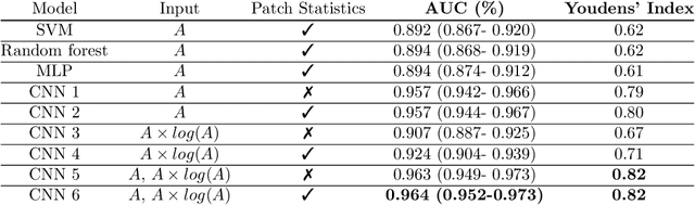 Figure 4 for Ultrasound Scatterer Density Classification Using Convolutional Neural Networks by Exploiting Patch Statistics