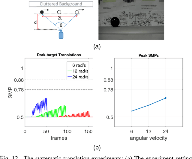 Figure 4 for Collision Selective Visual Neural Network Inspired by LGMD2 Neurons in Juvenile Locusts