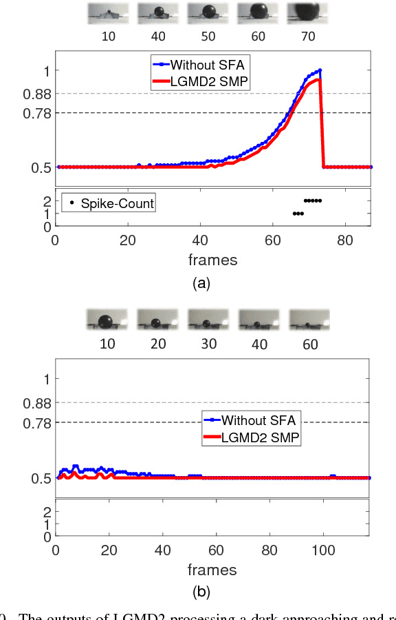 Figure 2 for Collision Selective Visual Neural Network Inspired by LGMD2 Neurons in Juvenile Locusts