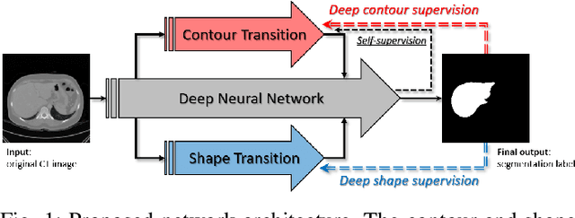 Figure 1 for Deeply Self-Supervising Edge-to-Contour Neural Network Applied to Liver Segmentation