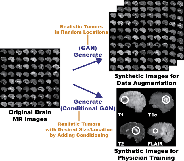 Figure 2 for Pathology-Aware Generative Adversarial Networks for Medical Image Augmentation