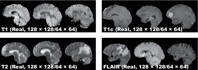 Figure 3 for Pathology-Aware Generative Adversarial Networks for Medical Image Augmentation