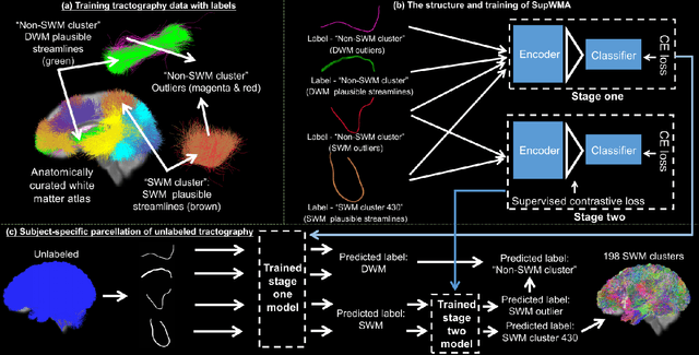 Figure 3 for Superficial White Matter Analysis: An Efficient Point-cloud-based Deep Learning Framework with Supervised Contrastive Learning for Consistent Tractography Parcellation across Populations and dMRI Acquisitions