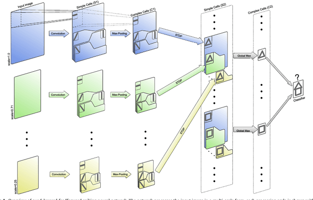 Figure 1 for Bio-inspired Unsupervised Learning of Visual Features Leads to Robust Invariant Object Recognition