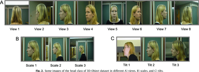 Figure 3 for Bio-inspired Unsupervised Learning of Visual Features Leads to Robust Invariant Object Recognition