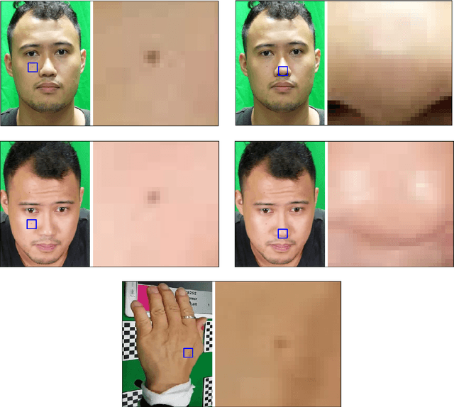 Figure 3 for Skin feature point tracking using deep feature encodings