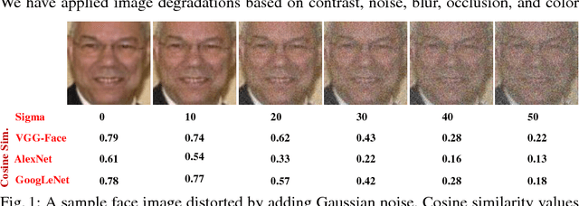 Figure 1 for How Image Degradations Affect Deep CNN-based Face Recognition?