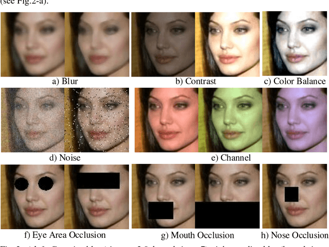 Figure 2 for How Image Degradations Affect Deep CNN-based Face Recognition?