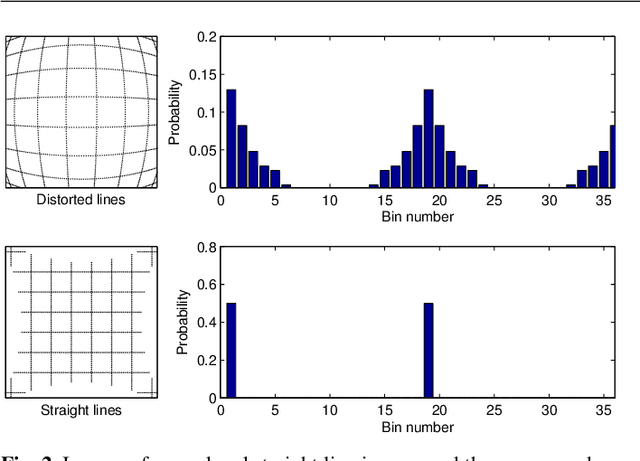 Figure 2 for Camera distortion self-calibration using the plumb-line constraint and minimal Hough entropy