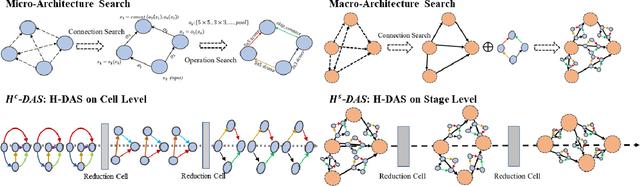 Figure 3 for Unchain the Search Space with Hierarchical Differentiable Architecture Search