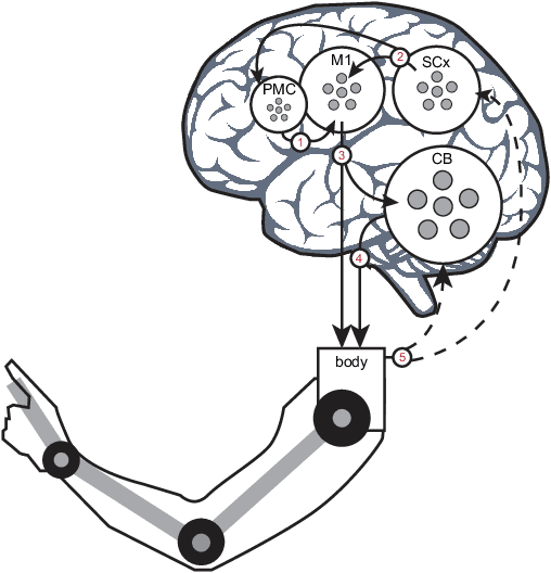 Figure 3 for The Brain-Inspired Cooperative Shared Control for Brain-Machine Interface