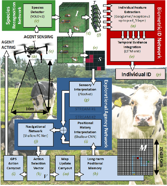 Figure 1 for Aerial Animal Biometrics: Individual Friesian Cattle Recovery and Visual Identification via an Autonomous UAV with Onboard Deep Inference