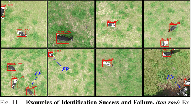 Figure 3 for Aerial Animal Biometrics: Individual Friesian Cattle Recovery and Visual Identification via an Autonomous UAV with Onboard Deep Inference