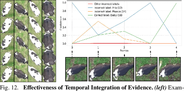 Figure 4 for Aerial Animal Biometrics: Individual Friesian Cattle Recovery and Visual Identification via an Autonomous UAV with Onboard Deep Inference