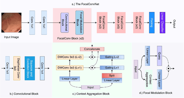 Figure 2 for Video Capsule Endoscopy Classification using Focal Modulation Guided Convolutional Neural Network