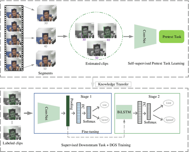 Figure 2 for Self-Supervised Face Presentation Attack Detection with Dynamic Grayscale Snippets