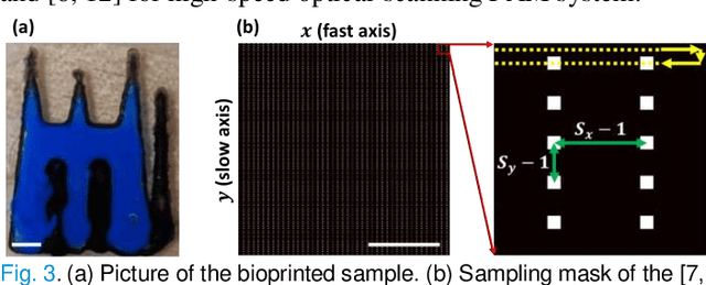 Figure 3 for Deep Image Prior for Sparse-sampling Photoacoustic Microscopy
