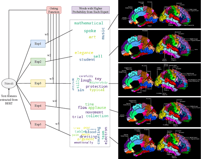 Figure 1 for ExpertoCoder: Capturing Divergent Brain Regions Using Mixture of Regression Experts
