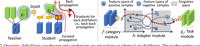 Figure 3 for Network Transplanting