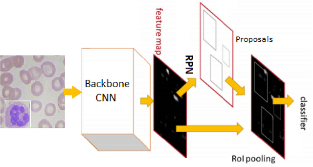 Figure 4 for Automated Blood Cell Detection and Counting via Deep Learning for Microfluidic Point-of-Care Medical Devices