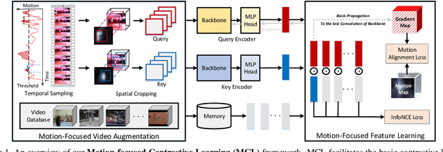 Figure 1 for Motion-Focused Contrastive Learning of Video Representations