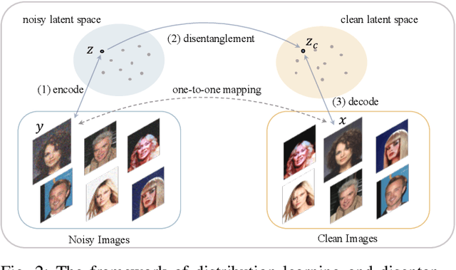 Figure 2 for Disentangling Noise from Images: A Flow-Based Image Denoising Neural Network