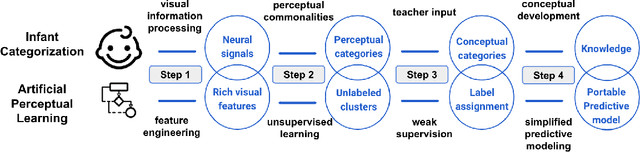 Figure 2 for Artificial Perceptual Learning: Image Categorization with Weak Supervision