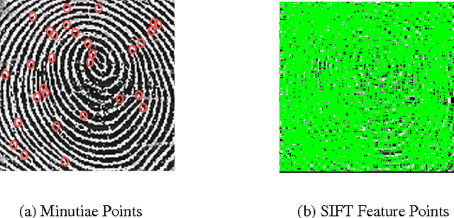 Figure 1 for Feature Level Fusion of Biometrics Cues: Human Identification with Doddingtons Caricature