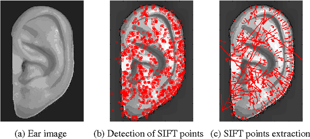 Figure 2 for Feature Level Fusion of Biometrics Cues: Human Identification with Doddingtons Caricature