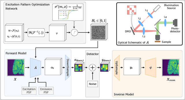 Figure 1 for Differentiable Microscopy for Content and Task Aware Compressive Fluorescence Imaging
