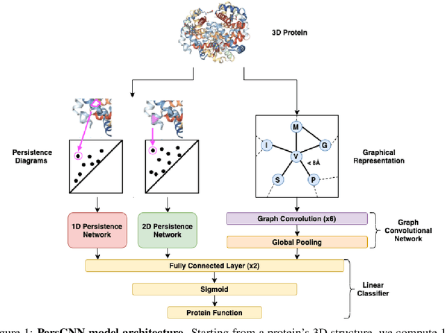 Figure 1 for PersGNN: Applying Topological Data Analysis and Geometric Deep Learning to Structure-Based Protein Function Prediction