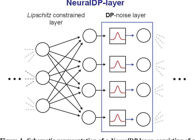 Figure 1 for NeuralDP Differentially private neural networks by design