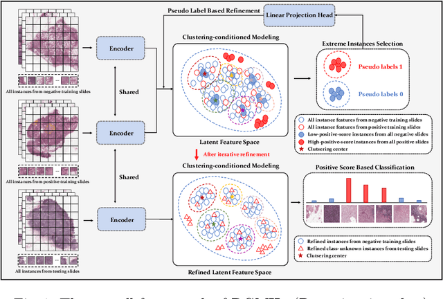 Figure 1 for DGMIL: Distribution Guided Multiple Instance Learning for Whole Slide Image Classification
