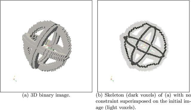 Figure 4 for Writing Reusable Digital Geometry Algorithms in a Generic Image Processing Framework
