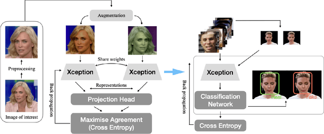 Figure 1 for DeepfakeUCL: Deepfake Detection via Unsupervised Contrastive Learning