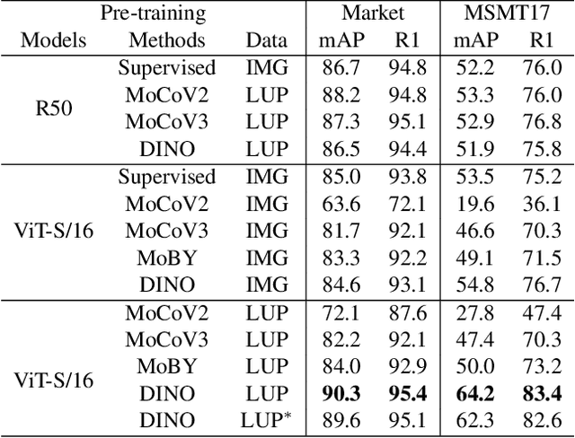 Figure 2 for Self-Supervised Pre-Training for Transformer-Based Person Re-Identification