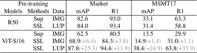 Figure 3 for Self-Supervised Pre-Training for Transformer-Based Person Re-Identification