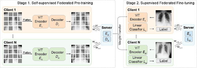 Figure 3 for Label-Efficient Self-Supervised Federated Learning for Tackling Data Heterogeneity in Medical Imaging