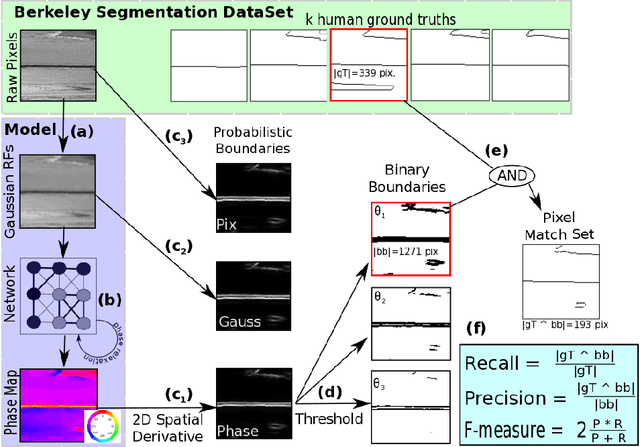Figure 2 for A Model for Image Segmentation in Retina