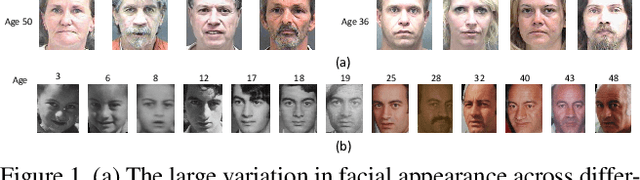 Figure 1 for Deep Regression Forests for Age Estimation