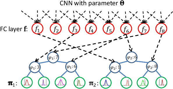 Figure 3 for Deep Regression Forests for Age Estimation