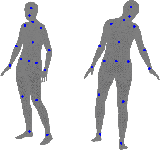 Figure 2 for A Simple Method to Boost Human Pose Estimation Accuracy by Correcting the Joint Regressor for the Human3.6m Dataset