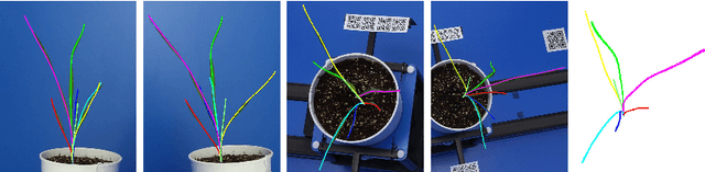 Figure 1 for A model-based approach to recovering the structure of a plant from images