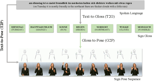 Figure 1 for Non-Autoregressive Sign Language Production via Knowledge Distillation