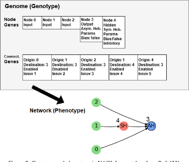 Figure 2 for Towards the Neuroevolution of Low-level Artificial General Intelligence