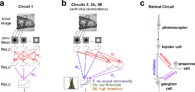 Figure 2 for Fine-Grained System Identification of Nonlinear Neural Circuits