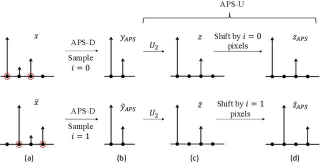 Figure 3 for Truly shift-equivariant convolutional neural networks with adaptive polyphase upsampling
